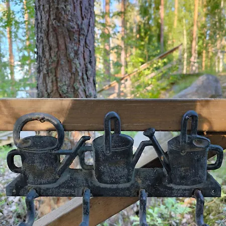 Villa Hullu Kettu & Lakehouse Ruokolahti