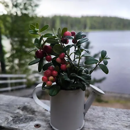 Hullu Kettu & Lakehouse * روكولاهتي