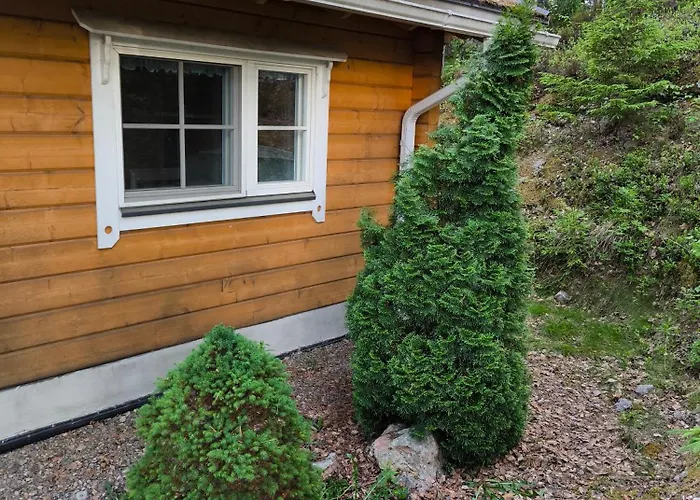 Hullu Kettu & Lakehouse *