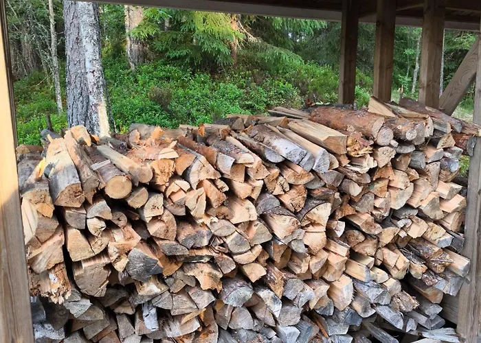 Villa Hullu Kettu & Lakehouse Ruokolahti