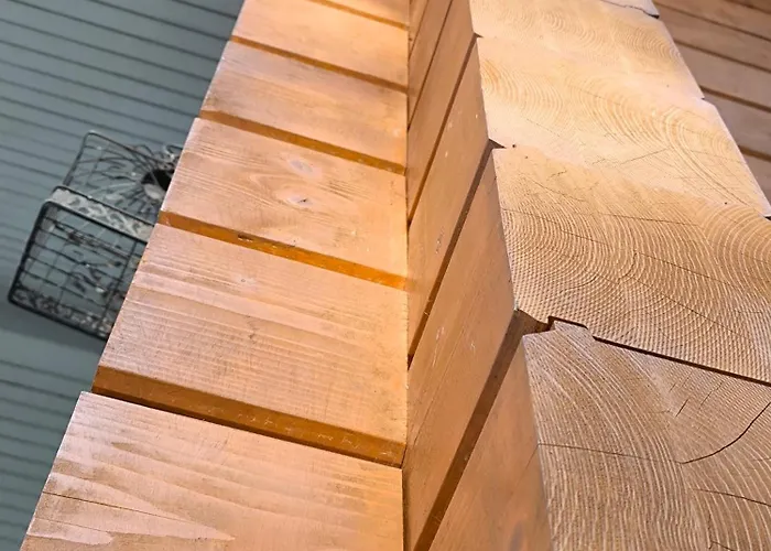 Hullu Kettu & Lakehouse Villa *