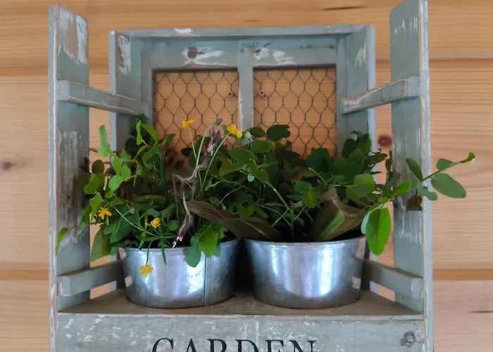 Hullu Kettu & Lakehouse Villa Ruokolahti