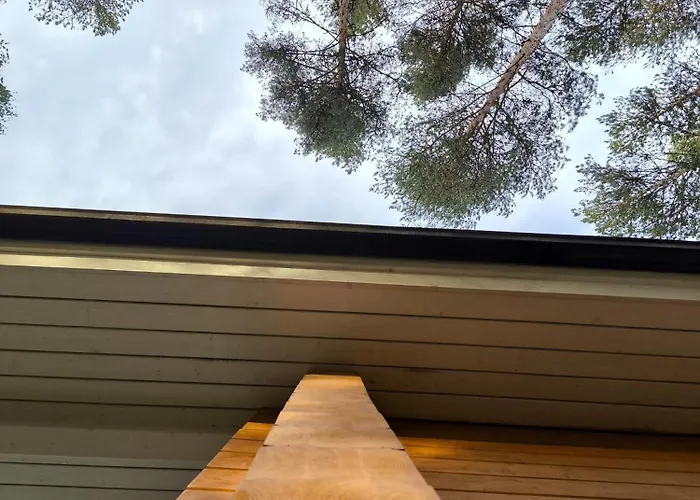 Villa Hullu Kettu & Lakehouse Ruokolahti